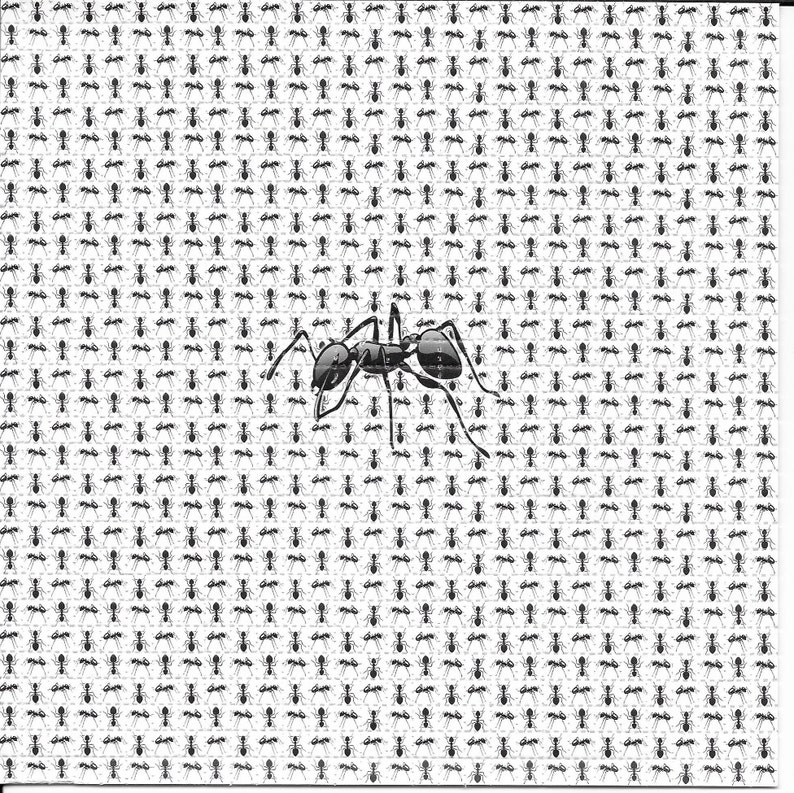 Ink Blotter Paper - Karıncalar Hayvan Psychedelic LSD Asitsiz Kurutma