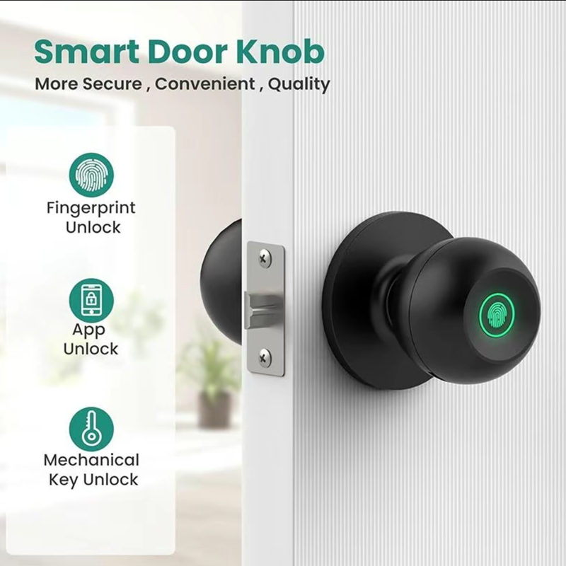 Bluetooth Tuya APP kontrolü ak - Letter Opener Brass incelemesi ve fiyatı