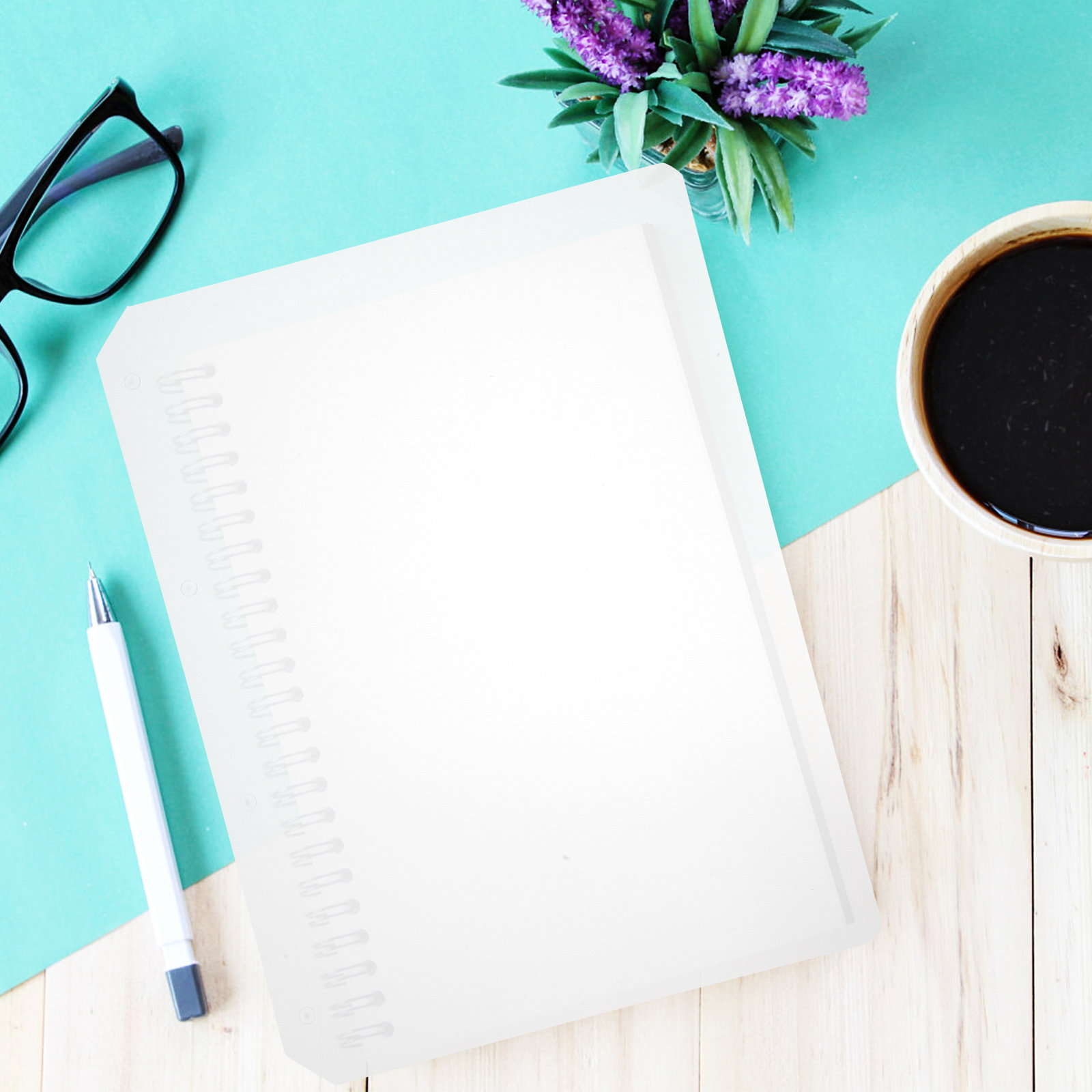 5 Adet A4 Defter Bölücü, Premi - Tab Divider A4 incelemesi ve fiyatı